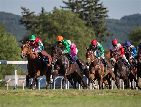 Plumpton Racecourse .